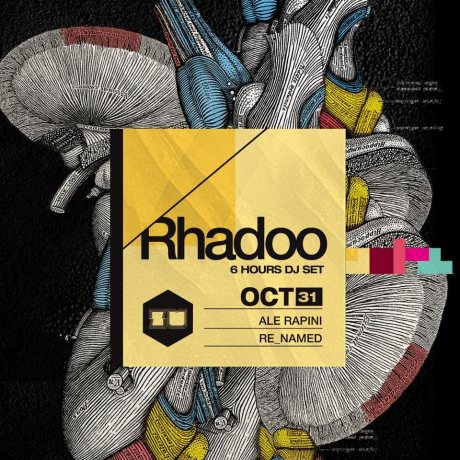 it-1031-530181-back-1